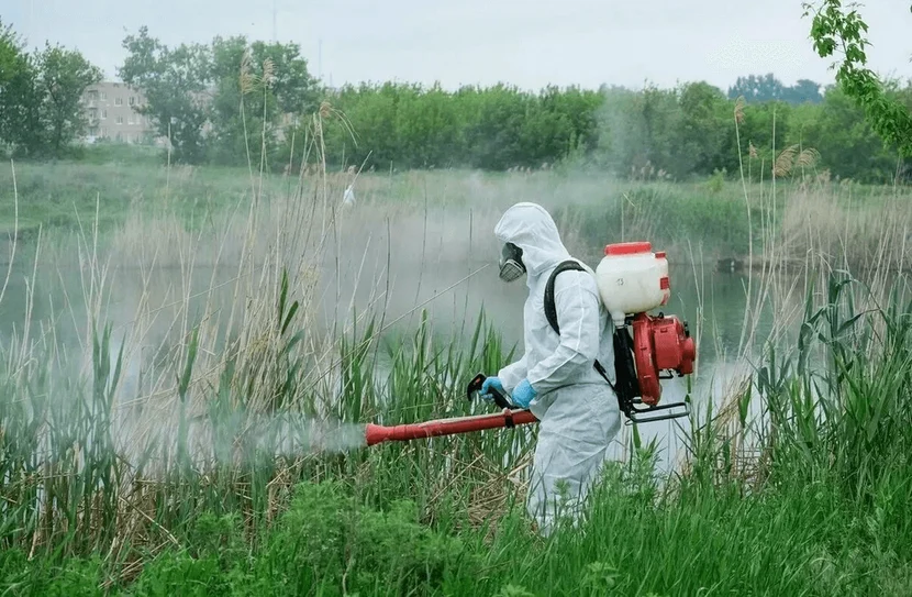 Всегда на связи