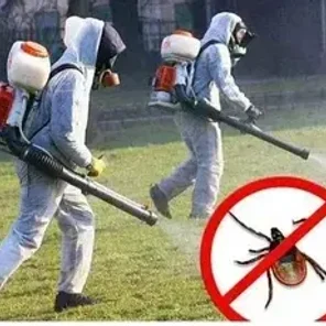 Акарицидная обработка