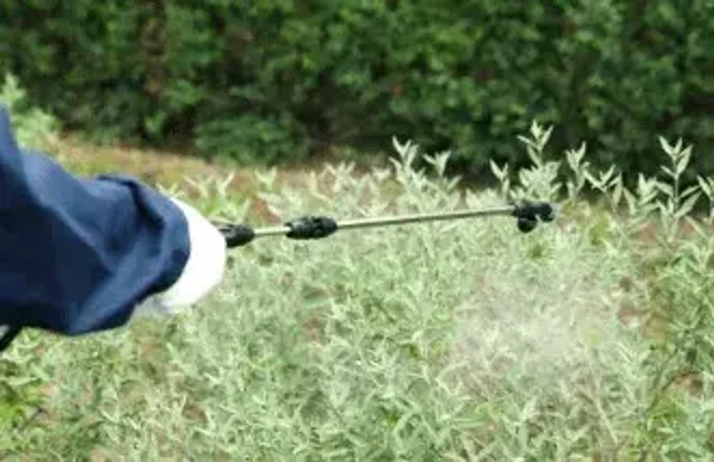 Акарицидная обработка от клещей