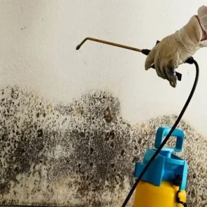 Борьба с грибком