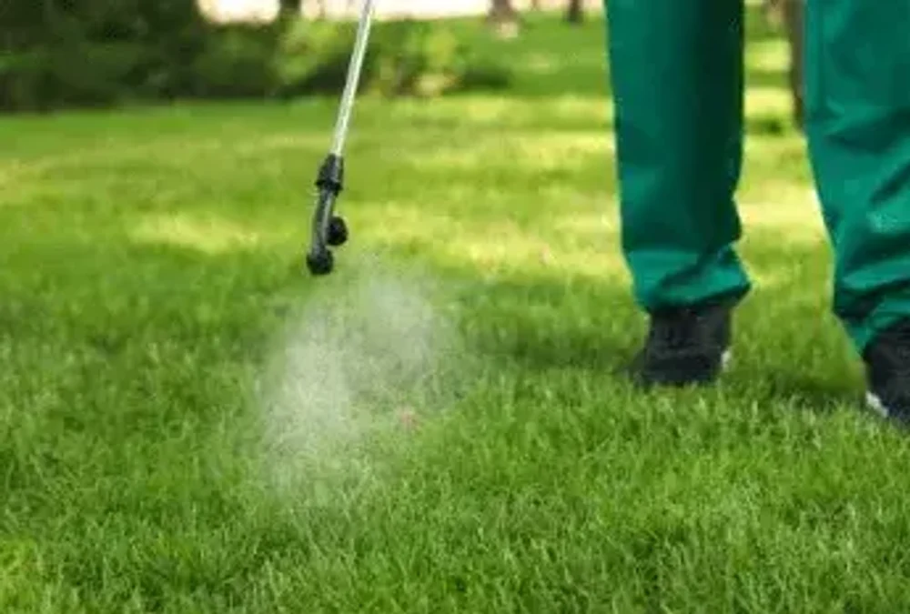 Акарицидная обработка от клещей