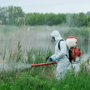 Ларвицидная обработка