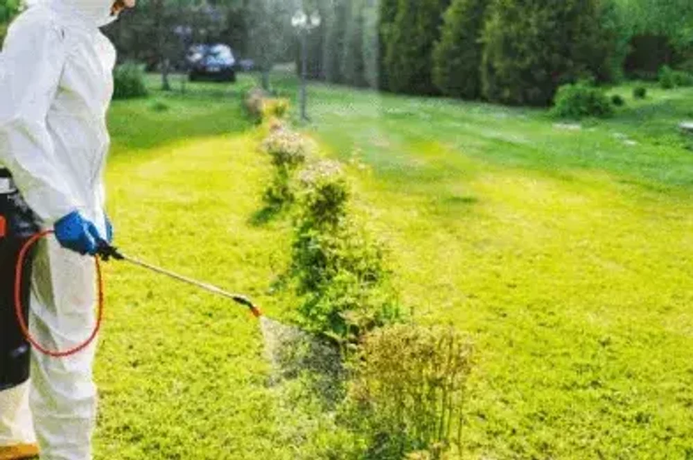 Акарицидная обработка от клещей